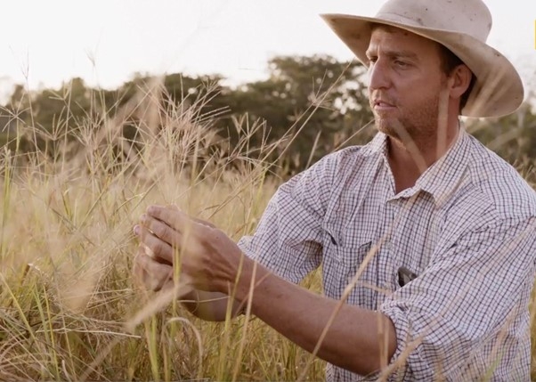 Graham Searle inspecting pasture grasses after planting a custom mix