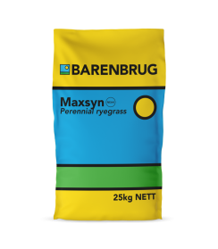 Maxsyn Bag