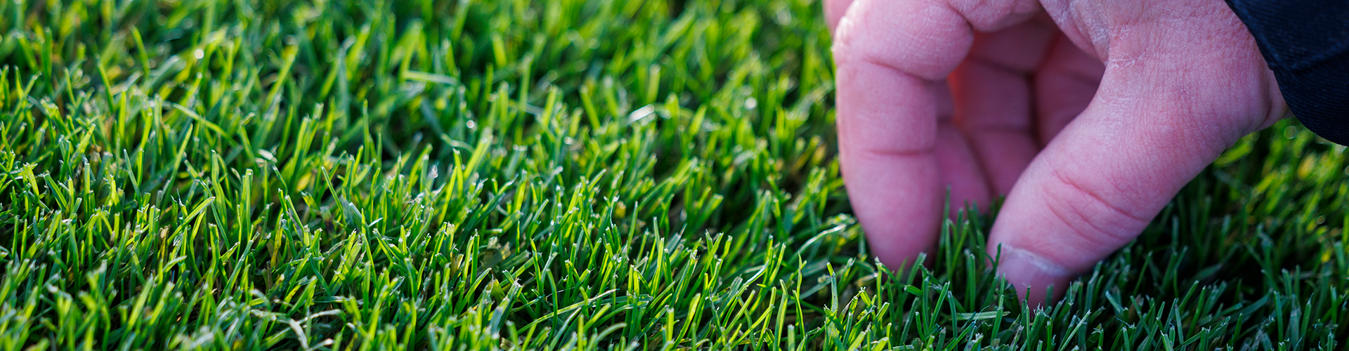 rtf