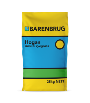 Hogan Bag